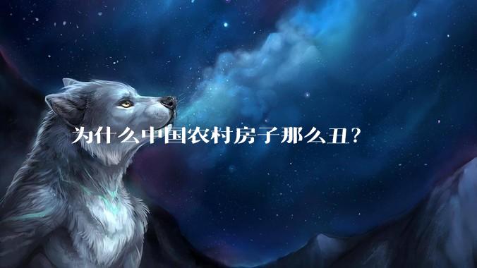 为什么中国农村房子那么丑？