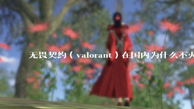 无畏契约（valorant）在国内为什么不火?
