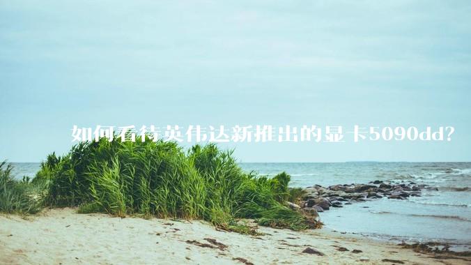 如何看待英伟达新推出的显卡5090dd？
