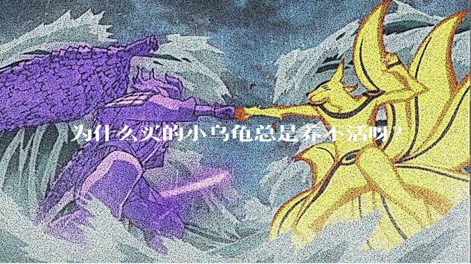 为什么买的小乌龟总是养不活呀？